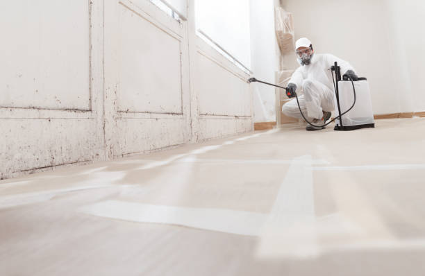 24/7 Emergency Attic Mold Removal experts in Poquoson, VA