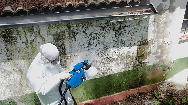 Trusted Mold Inspection service in Poquoson, VA - Cheap Mold Removal